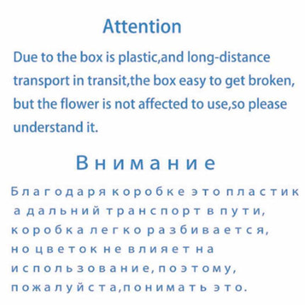 Eternal Floral Inspirations: Preserved Petals for Creative Expressions