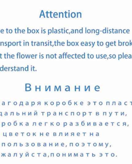 Eternal Floral Inspirations: Preserved Petals for Creative Expressions