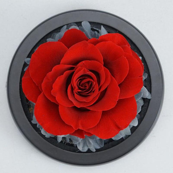Eternal Love Radiance: Heart-Shaped Glass Dome with Illumination - Luxury Preserved Rose Display