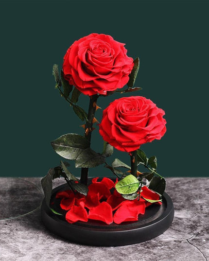 Timeless Romance: Stunning Preserved Rose in Glass Cloche - Authentic Bloom, Lasting Elegance, Enduring Beauty