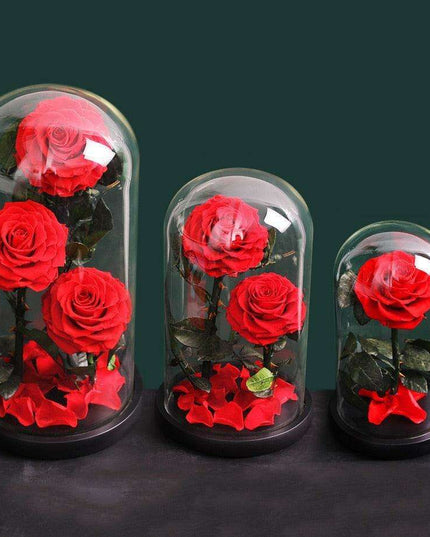 Eternal Elegance: Preserved Rose in Glass Dome - A Lasting Impression