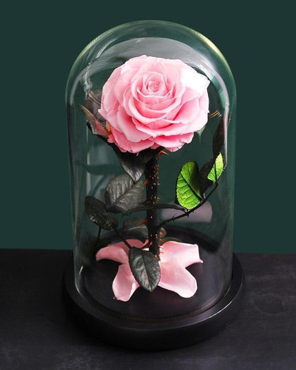 Timeless Romance: Stunning Preserved Rose in Glass Cloche - Authentic Bloom, Lasting Elegance, Enduring Beauty