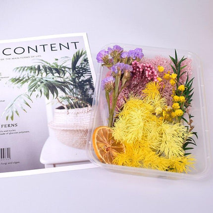 Eternal Floral Inspirations: Preserved Petals for Creative Expressions