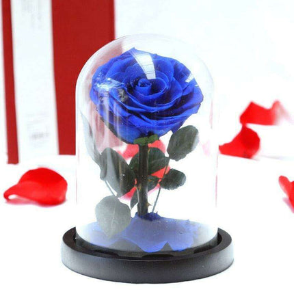 Eternal Elegance: Heart-Shaped Preserved Roses in Glass Dome