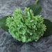 Deluxe 3D Latex Hydrangea Flower Arrangement - Elegant Floral Decor for Home and Events