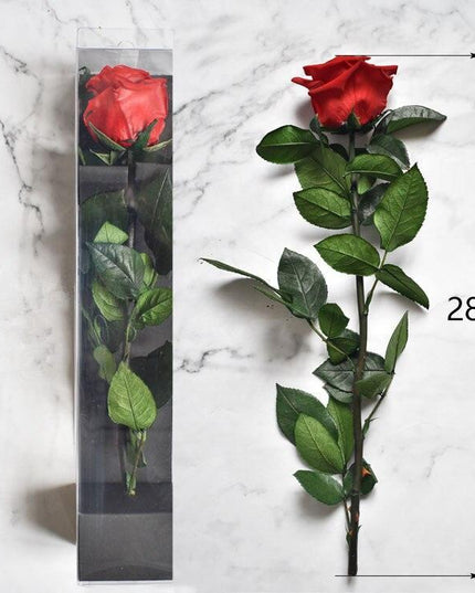 Eternal Elegance Preserved Rose Stem - The Perfect Gift for Weddings, Home Decor & Mother's Day