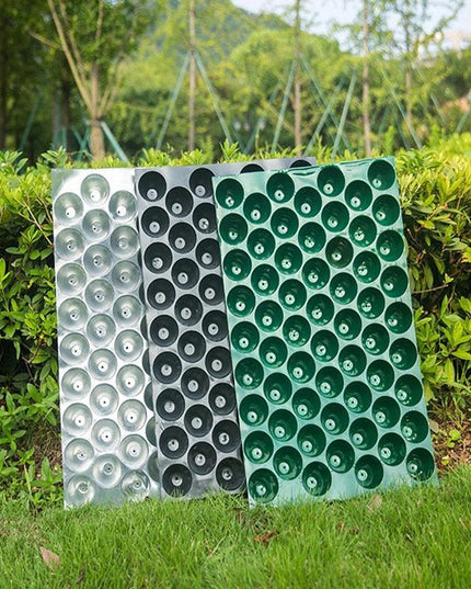 Sustainable Gardening Plant Growth Tray Kit for Eco-Conscious Gardeners