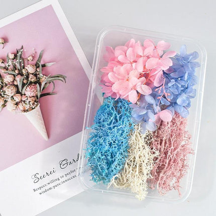 Eternal Floral Inspirations: Preserved Petals for Creative Expressions