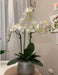 Luxurious High-Quality Big Artificial Orchids Set - Elegant Home Decor Piece