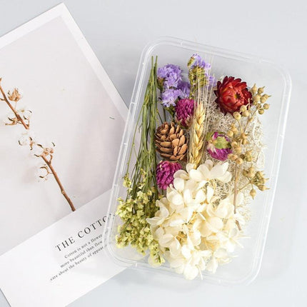Eternal Floral Inspirations: Preserved Petals for Creative Expressions