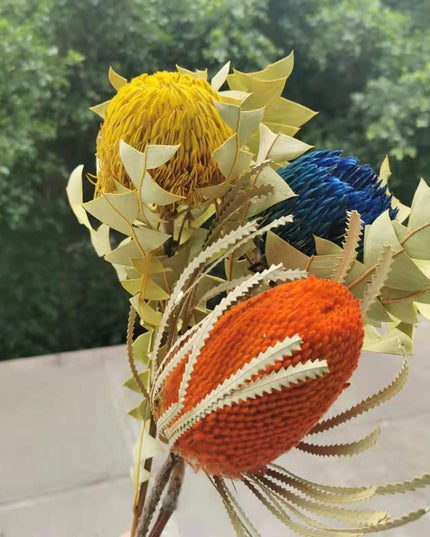 Eternal Banksia Pagoda Floral Arrangement - 30cm Unique Organic Centerpiece for Home and Special Events