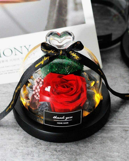 Captivating Glass Rose Lamp in Elegant Dome - A Cherished Emblem of Love