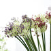 Elegant Silk Lotus Flower Plant for Stylish Home Décor