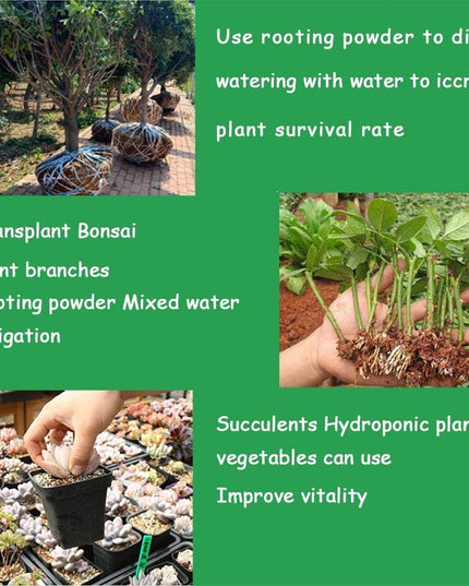 Bonsai Growth Catalyst: Root Strengthener & Flower Booster