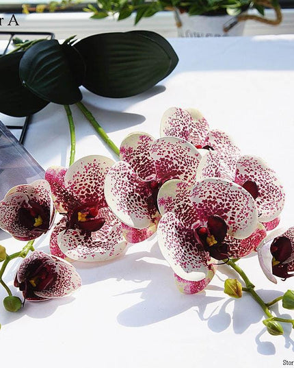 Elegant White Orchid Blooms for Upscale Home and Event Styling