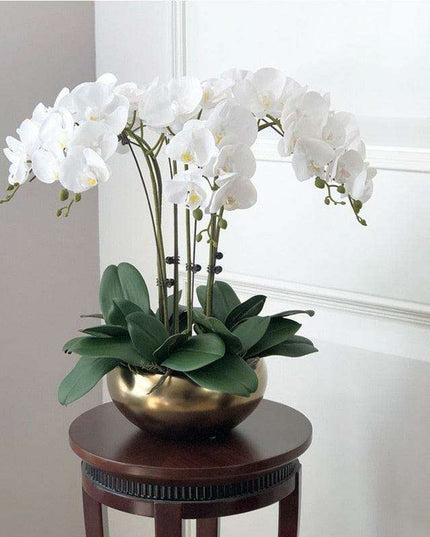 Luxurious Large Faux Orchid Display - Premium Home Décor Elegance