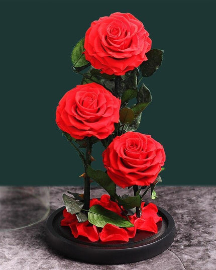 Timeless Romance: Stunning Preserved Rose in Glass Cloche - Authentic Bloom, Lasting Elegance, Enduring Beauty