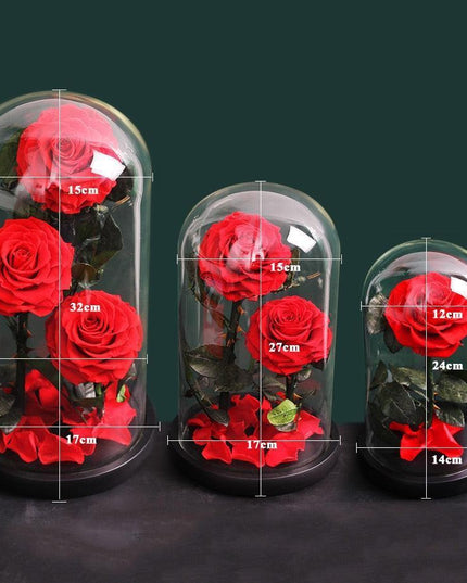 Timeless Romance: Stunning Preserved Rose in Glass Cloche - Authentic Bloom, Lasting Elegance, Enduring Beauty