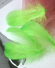 Fruit green / 8-12cm 100pcs