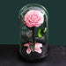 Enchanted Forever Rose in Glass Cloche