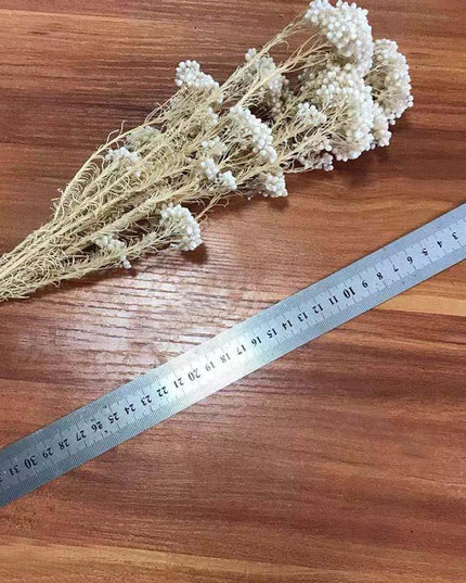 Timeless Treasures: Preserved Millet Flowers for Elegant Wedding Decor