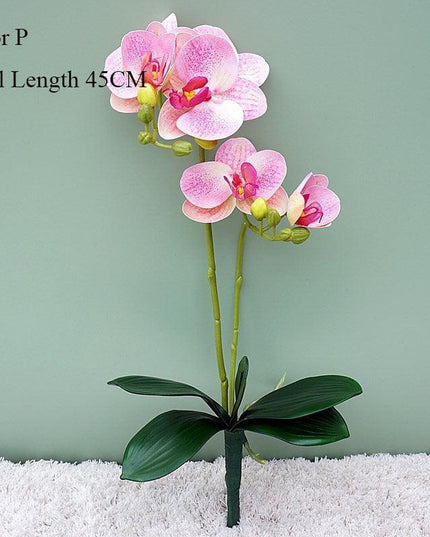 Elegant White Orchid Blooms for Upscale Home and Event Styling