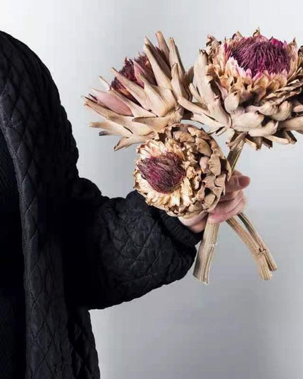 Exquisite Dried Protea Cynaroides Floral Arrangement for Elegant Home Styling