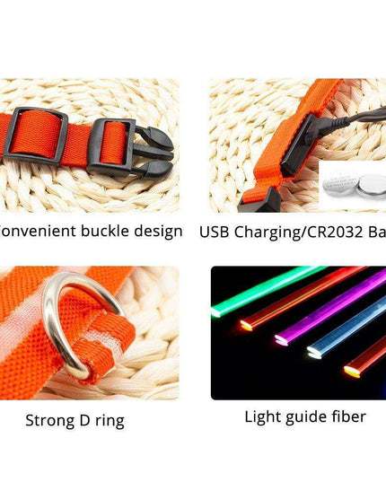 Illuminate & Protect: Rechargeable Waterproof LED Dog Collar for Enhanced Nighttime Safety