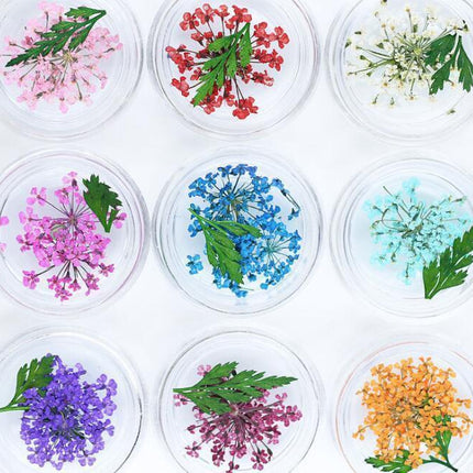 Botanical Elegance Nail Art Kit: Authentic Dried Flower Decoration Collection