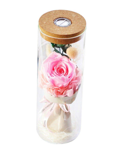 Eternal Blossom Rose - Enchanted Glass Dome Keepsake