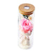 Preserved Rose in Glass Dome with LED Light - Eternal Flower