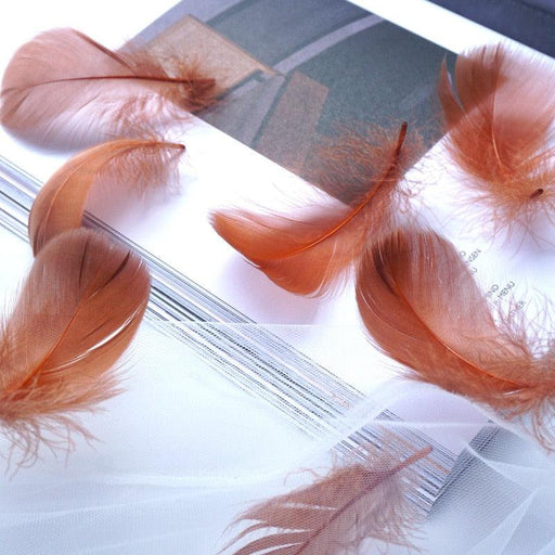 Opulent 100-Piece Assortment of 8-12 cm Floating Goose Feathers