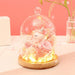 Eternal Love LED Preserved Rose in Glass Dome - Romantic Floral Gift