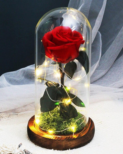 Timeless Romance: Stunning Preserved Rose in Glass Cloche - Authentic Bloom, Lasting Elegance, Enduring Beauty