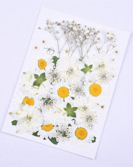 Luxurious Pressed Floral Collection: Aesthetic Inspirations for Creative Projects