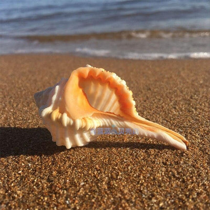 Seaside Serenity: Handcrafted Conch Shell Snail Pipe for Aquarium Aesthetics