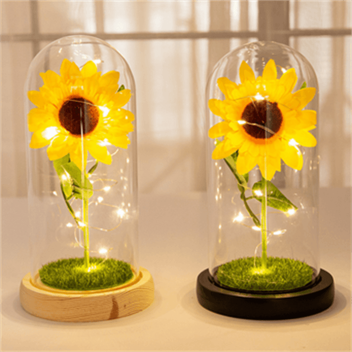 Rose in Glass Dome with Lights - Preserved Valentine's Day Gift
