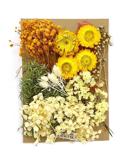Floral Fantasy: Premium Dried Flowers Crafting Kit