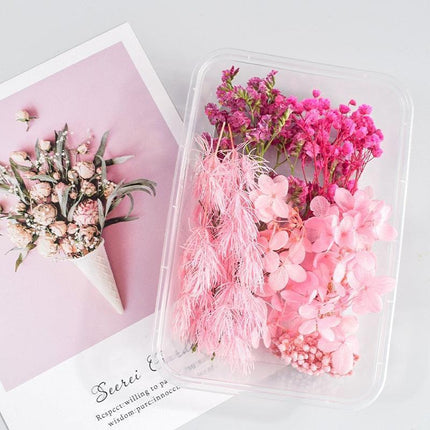 Eternal Floral Inspirations: Preserved Petals for Creative Expressions