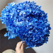 Royal Blue / 1pc