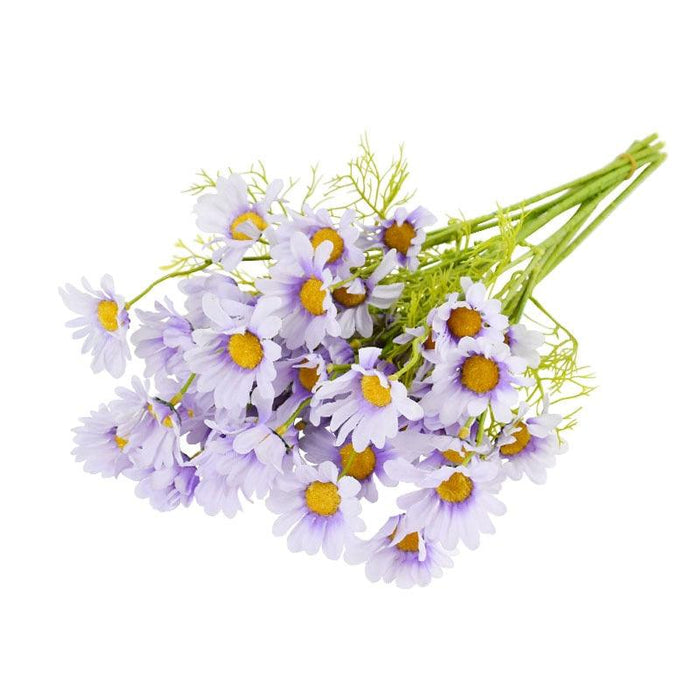 Vibrant Daisy Bouquets Set for Artistic Floral Arrangements