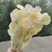 Natural Preserved Eucalyptus Leaves Bouquet - Wedding Home Decoration