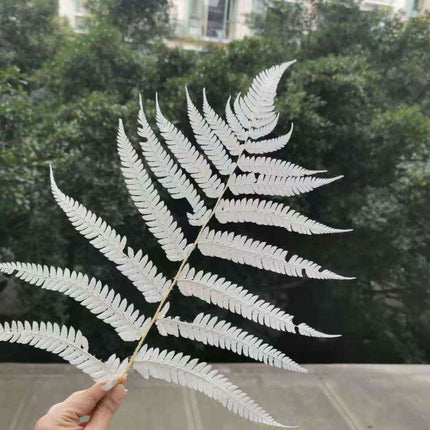 Eternal Green Fiddlehead Ferns Set - 10 Pieces (25x40cm)