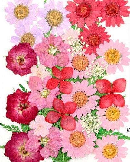 Luxurious Pressed Floral Collection: Aesthetic Inspirations for Creative Projects