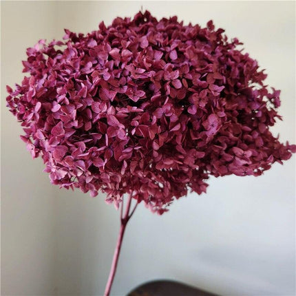 Hydrangea Elegance: Ultimate Dried Flower Arrangement Kit
