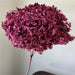 Eternal Blooms Hydrangea Floral Arrangement Kit