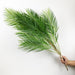 Tropical Vibes 96cm Artificial Palm Tree with Monstera Leaves