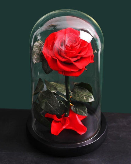 Timeless Romance: Stunning Preserved Rose in Glass Cloche - Authentic Bloom, Lasting Elegance, Enduring Beauty
