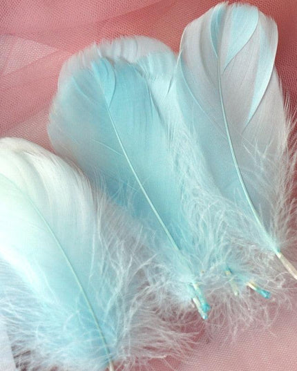 Feather Elegance Crafting Set: Enhance Weddings, Fashion, and Creative Projects