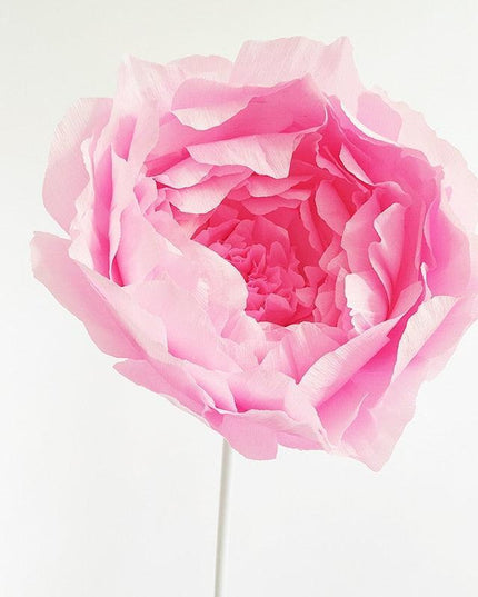 Majestic Giant Peony Paper Flower Crafting Set